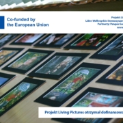 Zdjęcie stołu ze zdjęciami w ramkach ułożonych na wystawie